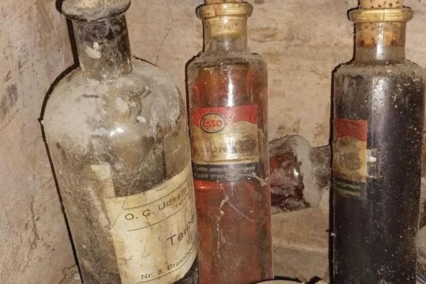 386513960_746024030900419_3483696449250142379_n