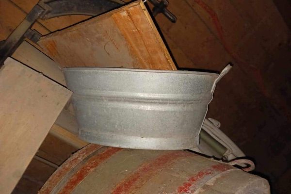 386984070_746024207567068_773725345354208365_n