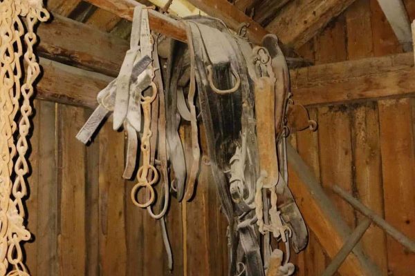 386991829_746025170900305_3826394992355652280_n