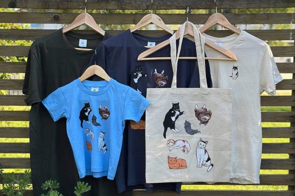 448876120_927356816100472_5278934198306483702_n