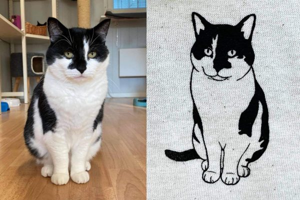 448929379_927356866100467_6812683176873587787_n