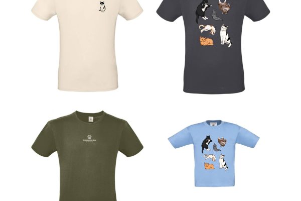 448930577_927358856100268_4165889602546134642_n