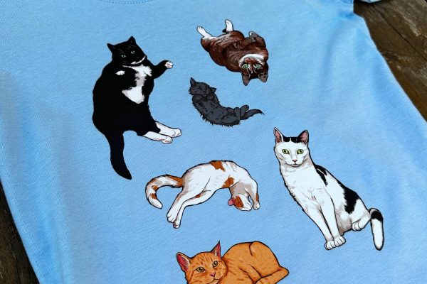 449029280_927356896100464_8547473607019686661_n